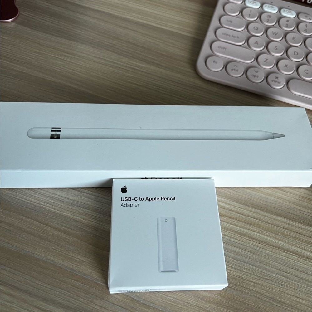1st generation Apple Pencil and charging adapter